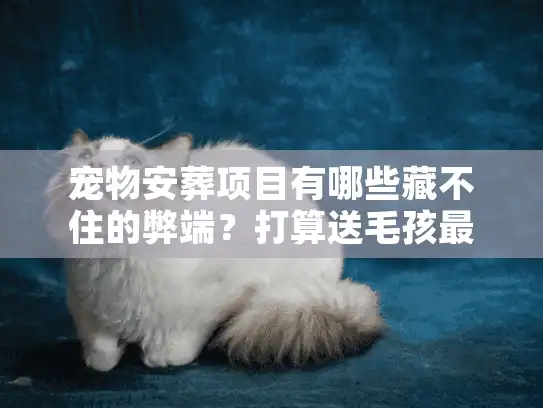 宠物安葬项目有哪些藏不住的弊端？打算送毛孩最后一程的家长必看
