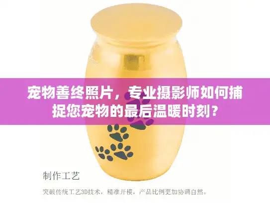 宠物善终照片，专业摄影师如何捕捉您宠物的最后温暖时刻？