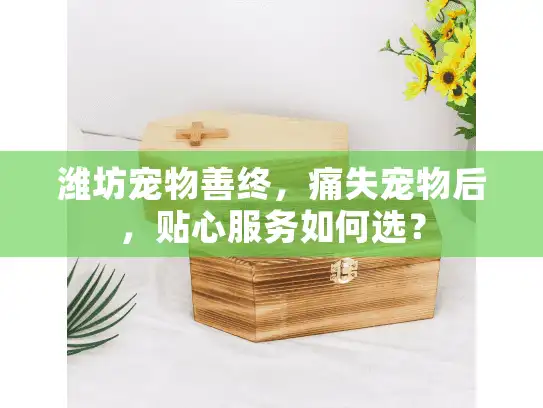 潍坊宠物善终，痛失宠物后，贴心服务如何选？