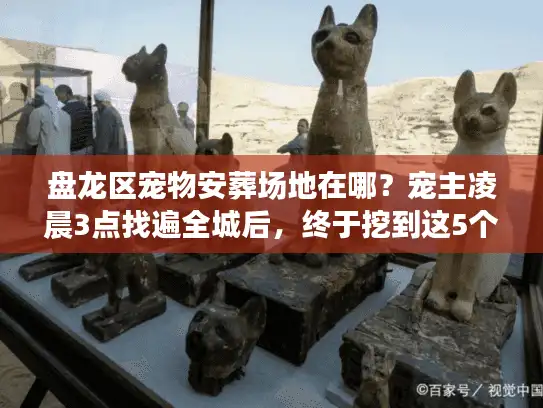 盘龙区宠物安葬场地在哪？宠主凌晨3点找遍全城后，终于挖到这5个能放心的家