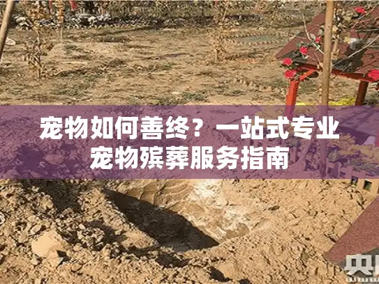 宠物如何善终？一站式专业宠物殡葬服务指南