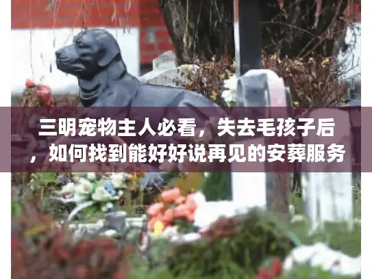 三明宠物主人必看，失去毛孩子后，如何找到能好好说再见的安葬服务？