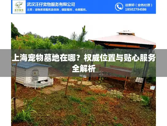 上海宠物墓地在哪？权威位置与贴心服务全解析