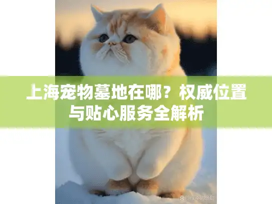 上海宠物墓地在哪？权威位置与贴心服务全解析