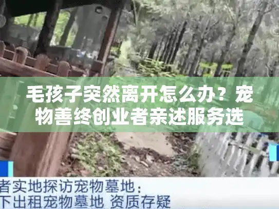 毛孩子突然离开怎么办？宠物善终创业者亲述服务选择5大黄金标准