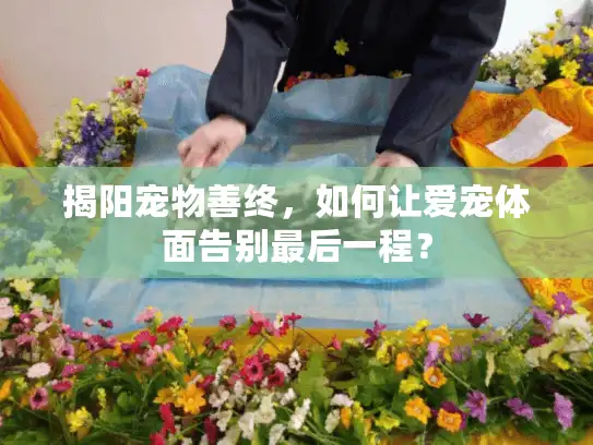 揭阳宠物善终，如何让爱宠体面告别最后一程？