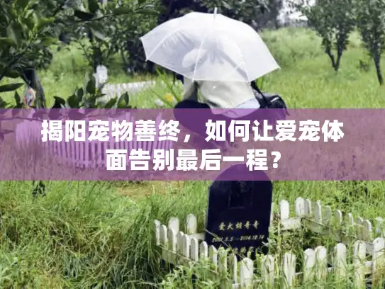 揭阳宠物善终，如何让爱宠体面告别最后一程？