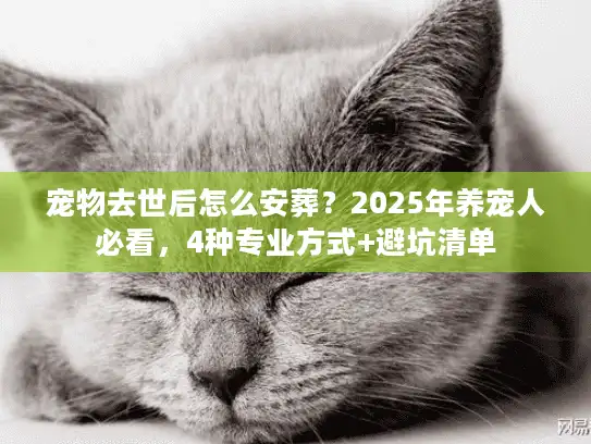 宠物去世后怎么安葬？2025年养宠人必看，4种专业方式+避坑清单