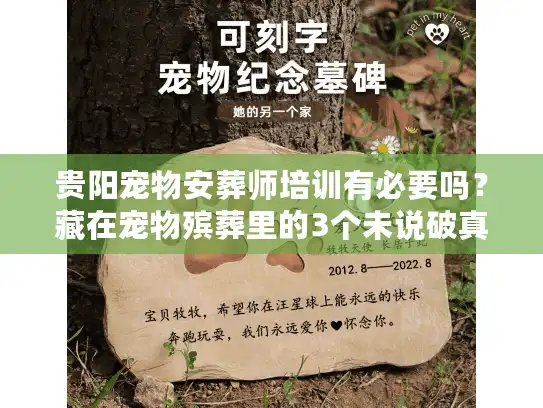 贵阳宠物安葬师培训有必要吗？藏在宠物殡葬里的3个未说破真相