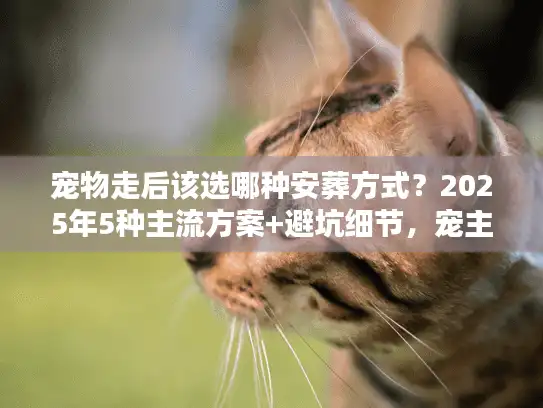 宠物走后该选哪种安葬方式？2025年5种主流方案+避坑细节，宠主别乱选