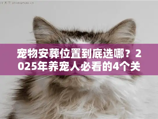 宠物安葬位置到底选哪？2025年养宠人必看的4个关键决策点