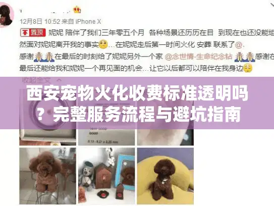 西安宠物火化收费标准透明吗？完整服务流程与避坑指南