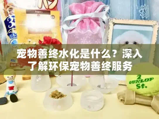 宠物善终水化是什么？深入了解环保宠物善终服务