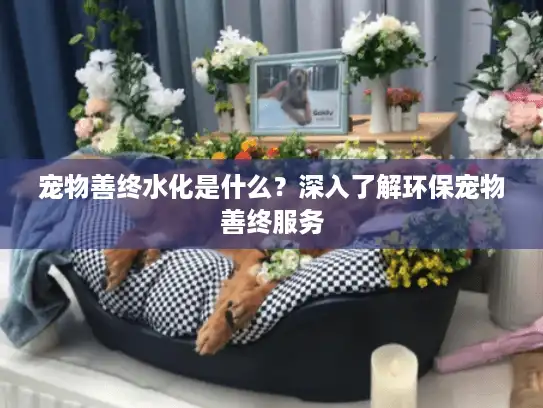 宠物善终水化是什么？深入了解环保宠物善终服务