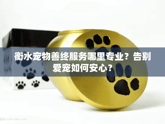 衡水宠物善终服务哪里专业？告别爱宠如何安心？