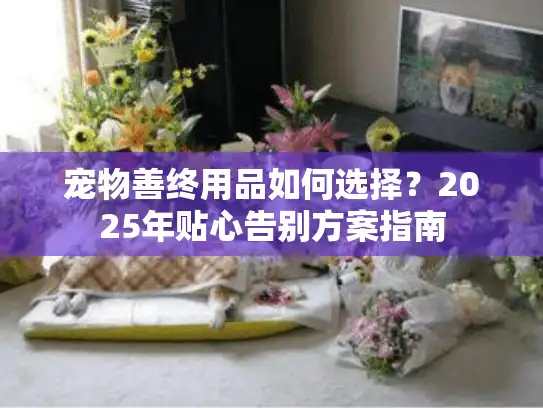 宠物善终用品如何选择？2025年贴心告别方案指南
