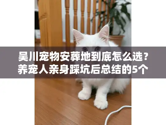 吴川宠物安葬地到底怎么选？养宠人亲身踩坑后总结的5个关键真相