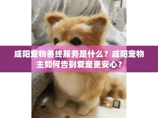 咸阳宠物善终服务是什么？咸阳宠物主如何告别爱宠更安心？