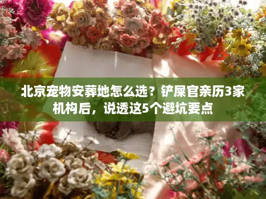 北京宠物安葬地怎么选？铲屎官亲历3家机构后，说透这5个避坑要点