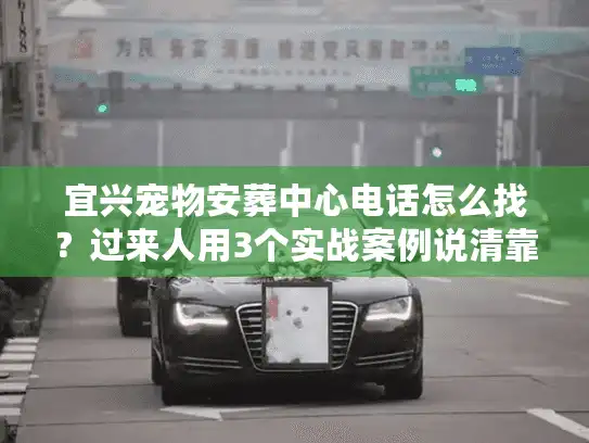 宜兴宠物安葬中心电话怎么找？过来人用3个实战案例说清靠谱服务的秘密