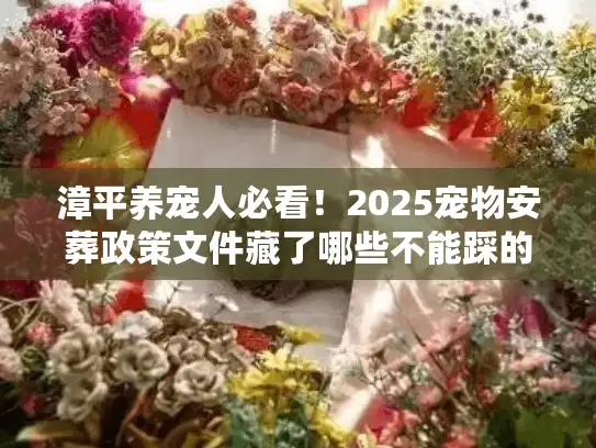 漳平养宠人必看！2025宠物安葬政策文件藏了哪些不能踩的红线？