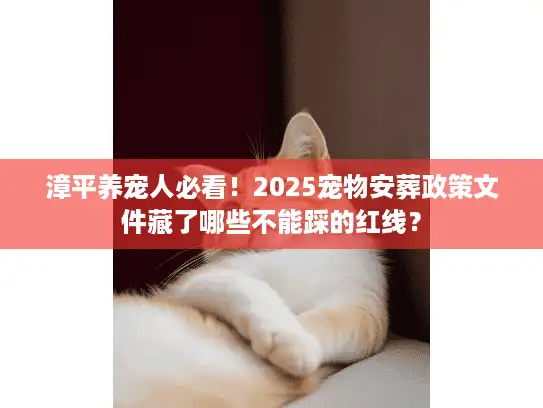 漳平养宠人必看！2025宠物安葬政策文件藏了哪些不能踩的红线？