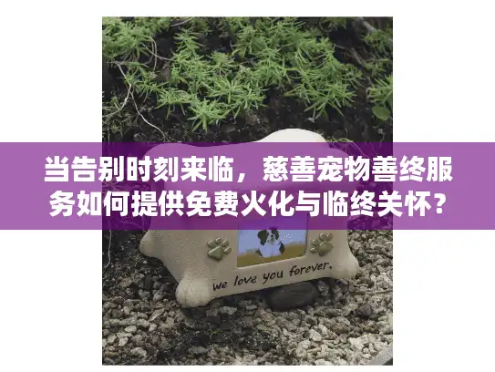当告别时刻来临，慈善宠物善终服务如何提供免费火化与临终关怀？