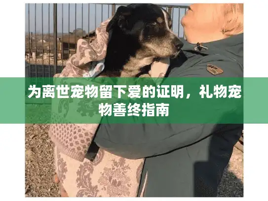 为离世宠物留下爱的证明，礼物宠物善终指南