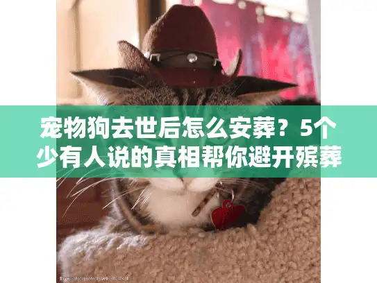 宠物狗去世后怎么安葬？5个少有人说的真相帮你避开殡葬服务的坑