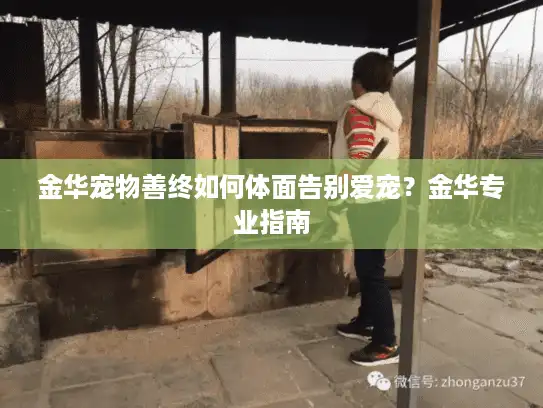 金华宠物善终如何体面告别爱宠？金华专业指南
