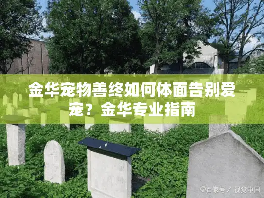 金华宠物善终如何体面告别爱宠？金华专业指南