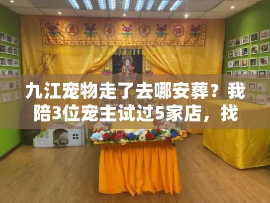 九江宠物走了去哪安葬？我陪3位宠主试过5家店，找出最靠谱的选择逻辑