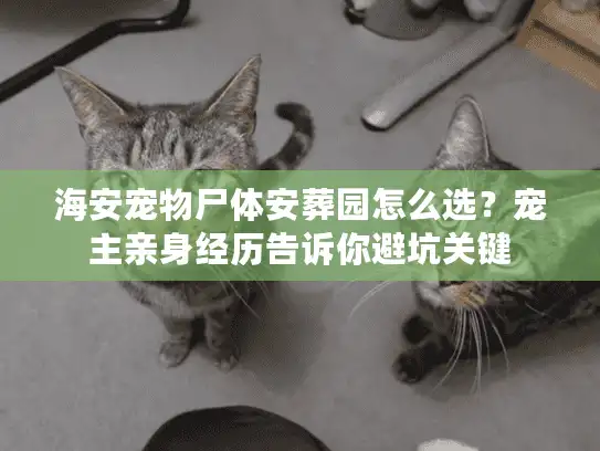 海安宠物尸体安葬园怎么选？宠主亲身经历告诉你避坑关键