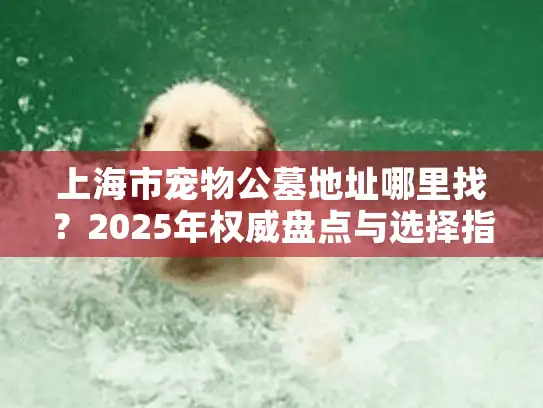 上海市宠物公墓地址哪里找？2025年权威盘点与选择指南