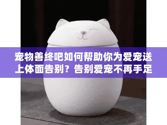 宠物善终吧如何帮助你为爱宠送上体面告别？告别爱宠不再手足无措