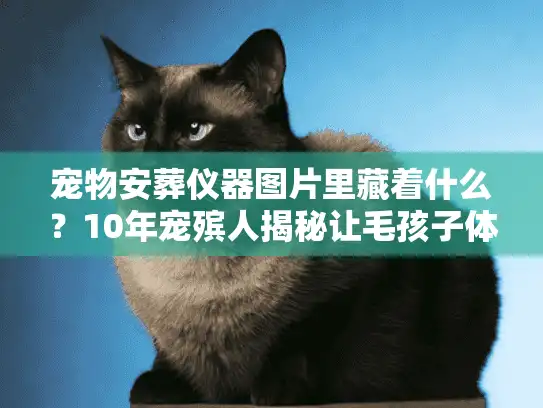 宠物安葬仪器图片里藏着什么？10年宠殡人揭秘让毛孩子体面走最后一程的关键