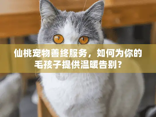 仙桃宠物善终服务，如何为你的毛孩子提供温暖告别？