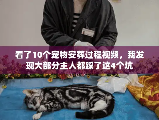 看了10个宠物安葬过程视频，我发现大部分主人都踩了这4个坑
