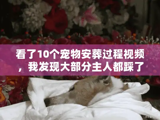 看了10个宠物安葬过程视频，我发现大部分主人都踩了这4个坑