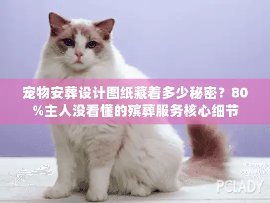 宠物安葬设计图纸藏着多少秘密？80%主人没看懂的殡葬服务核心细节