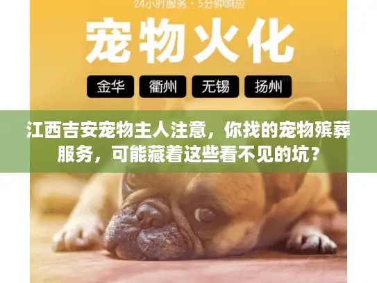 江西吉安宠物主人注意，你找的宠物殡葬服务，可能藏着这些看不见的坑？