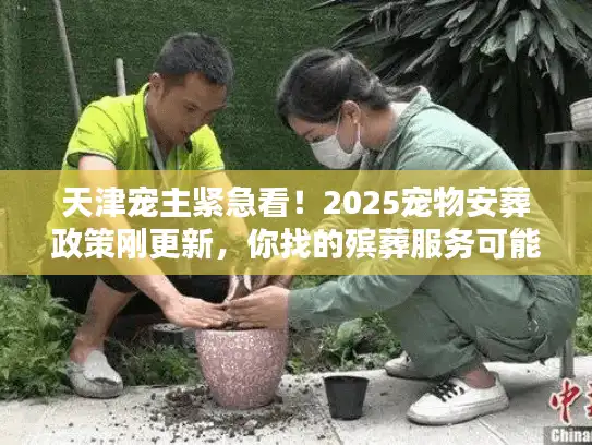 天津宠主紧急看！2025宠物安葬政策刚更新，你找的殡葬服务可能违规