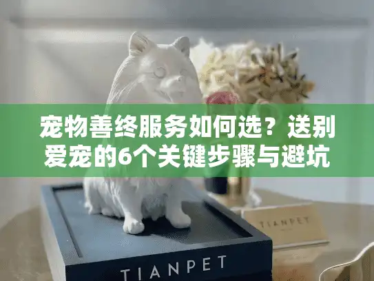 宠物善终服务如何选？送别爱宠的6个关键步骤与避坑指南