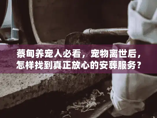 蔡甸养宠人必看，宠物离世后，怎样找到真正放心的安葬服务？