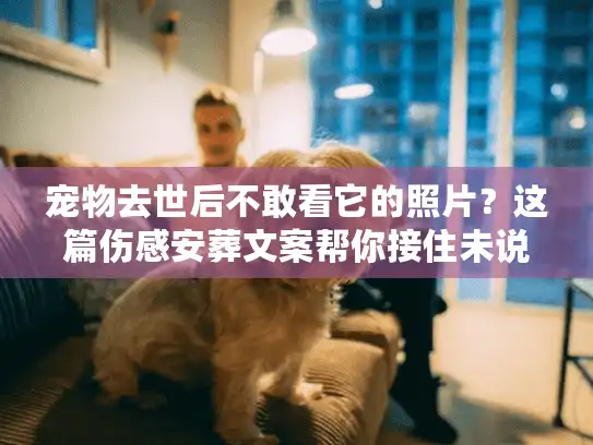宠物去世后不敢看它的照片？这篇伤感安葬文案帮你接住未说出口的爱