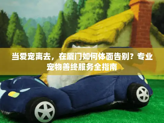 当爱宠离去，在厦门如何体面告别？专业宠物善终服务全指南
