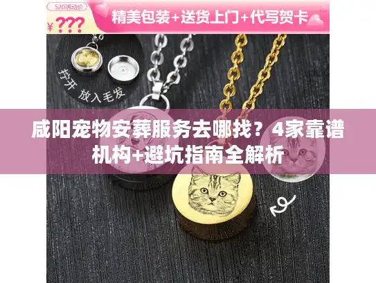 咸阳宠物安葬服务去哪找？4家靠谱机构+避坑指南全解析