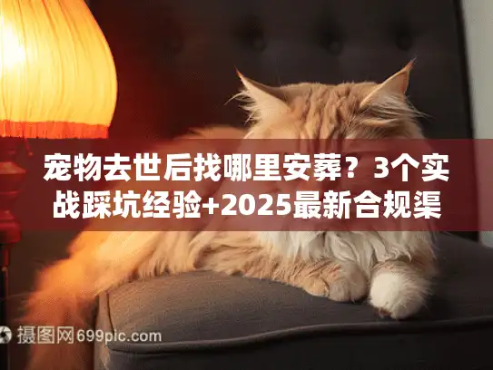 宠物去世后找哪里安葬？3个实战踩坑经验+2025最新合规渠道清单