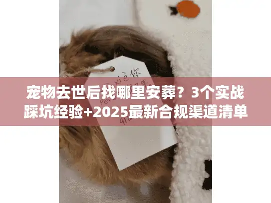 宠物去世后找哪里安葬？3个实战踩坑经验+2025最新合规渠道清单