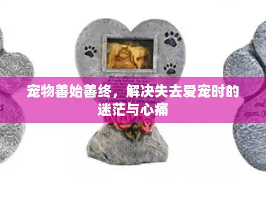宠物善始善终，解决失去爱宠时的迷茫与心痛